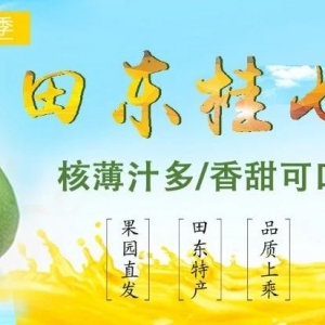 һ|㶼֪â(ji)ʢ[