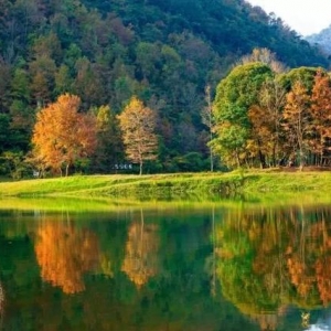 쵽ɫ򿨼tɫ֮߀܌M۵