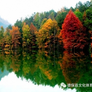 ptTR^2019±tĻι(ji)