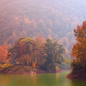 Vɫһ(g)~(gu)һ＾ͯԒ