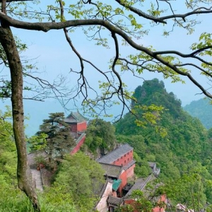 ӡnC(j)䮔(dng)ɽƱr(ji)235ٍ80|(dng)(dng)?sh)ؽ?jng)(j)